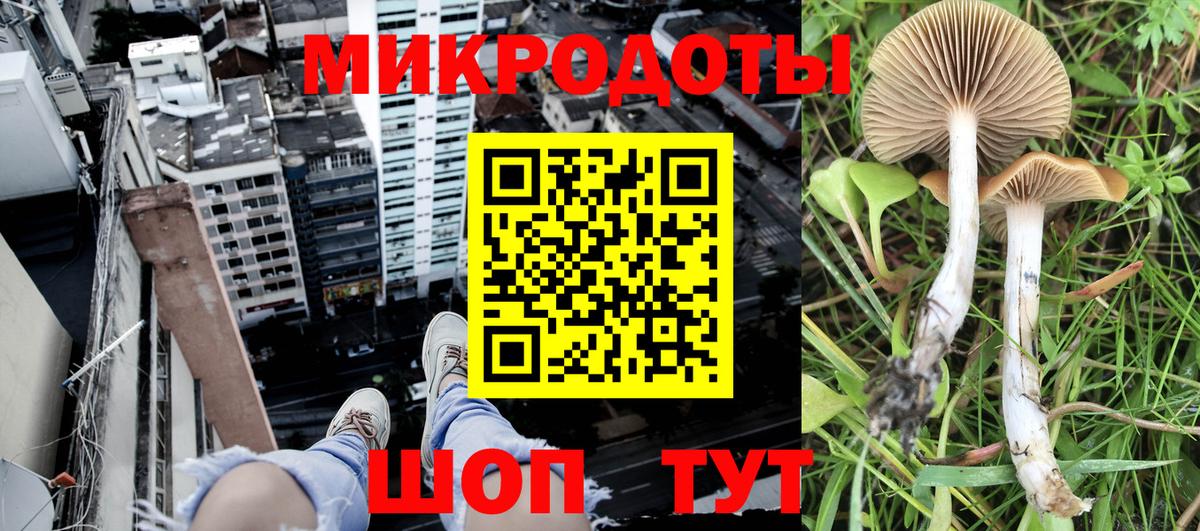купить наркотики цена  Галлюциногенные грибы мухоморы  Вход с VPN  Новодвинск 